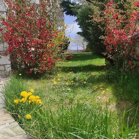 ουρανογείτων