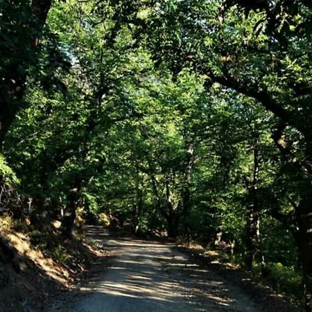 Guest house ουρανογείτων Kosmas