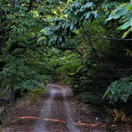 ουρανογείτων Guest house 3*