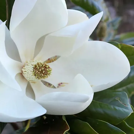 ουρανογείτων Guest house