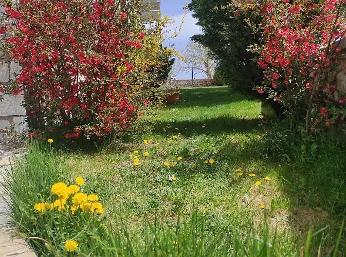 Xenonas Ouranogeiton