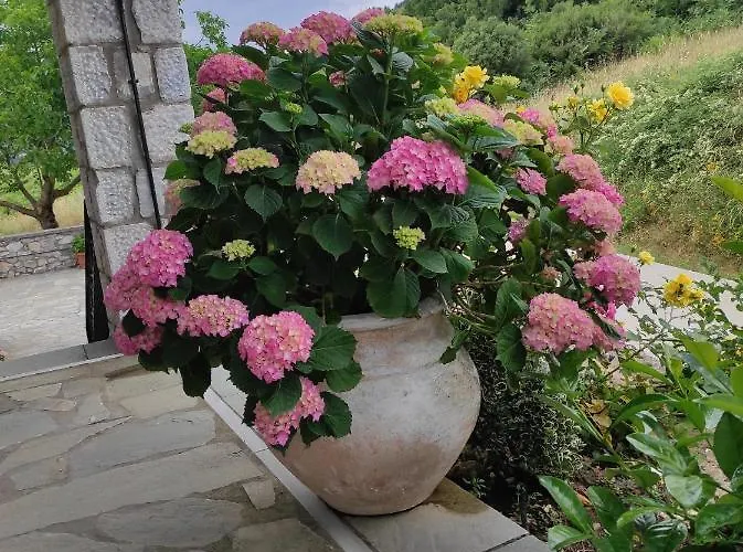 Xenonas Ouranogeiton 3* Kosmás