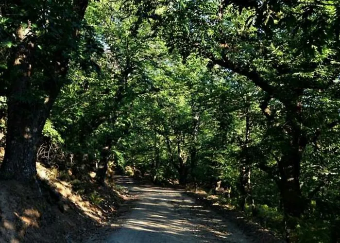 Gasthof Xenonas Ouranogeiton Kosmás