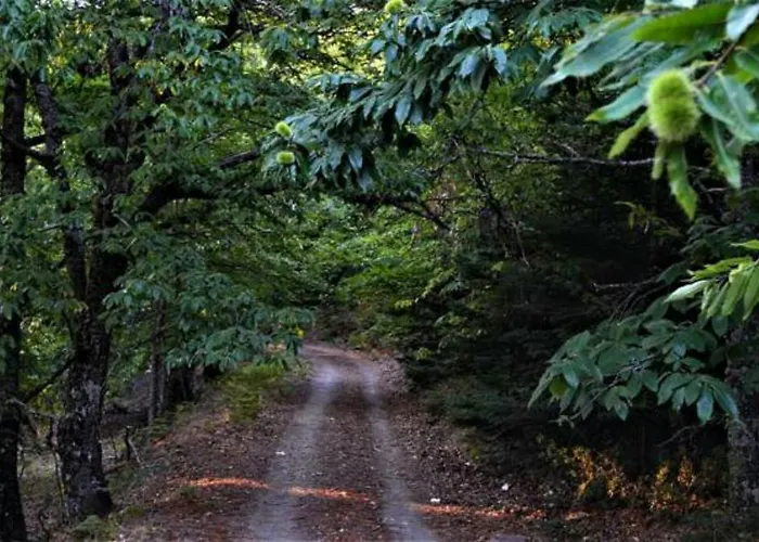 Xenonas Ouranogeiton בית הארחה 3*