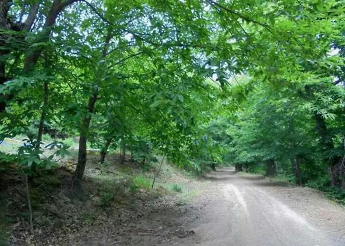 Xenonas Ouranogeiton